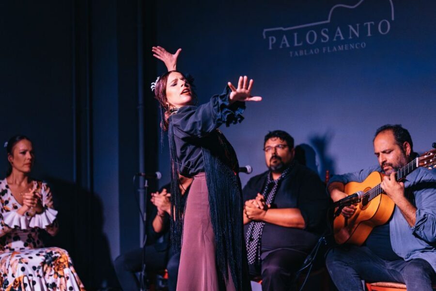 Valencia: Palosanto Flamenco Show Ticket - What the Show Really Looks Like: Guitar, Singers, and Flamenco Footwork