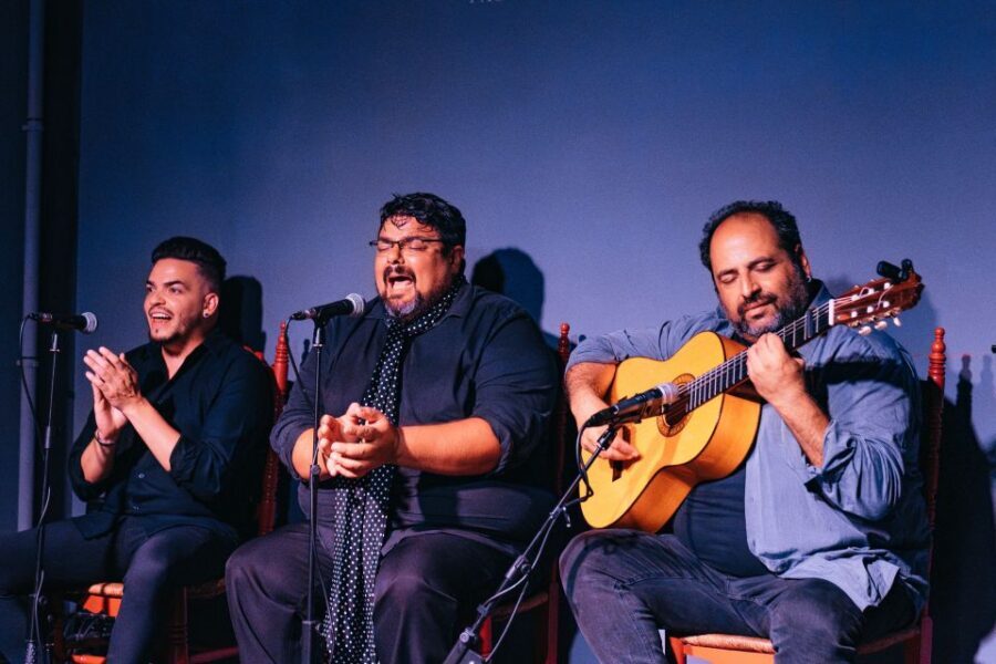 Valencia: Palosanto Flamenco Show Ticket - Finding the White-Façade Theatre Fast