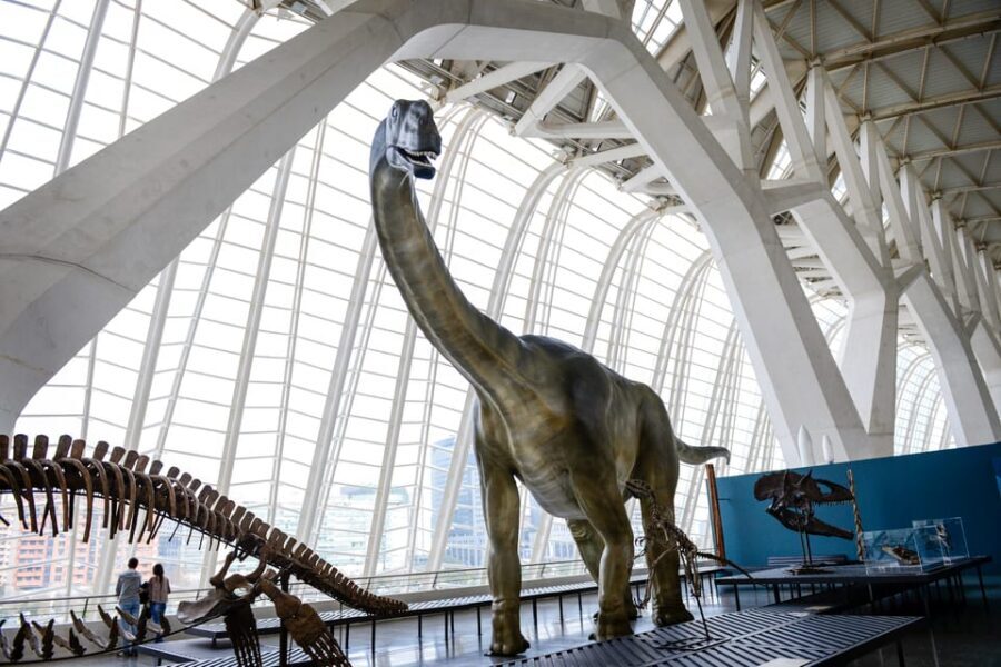 Valencia: Principe Felipe Science Museum Entry Ticket - Location and Entry: City Center Easy, Just Redeem Smart