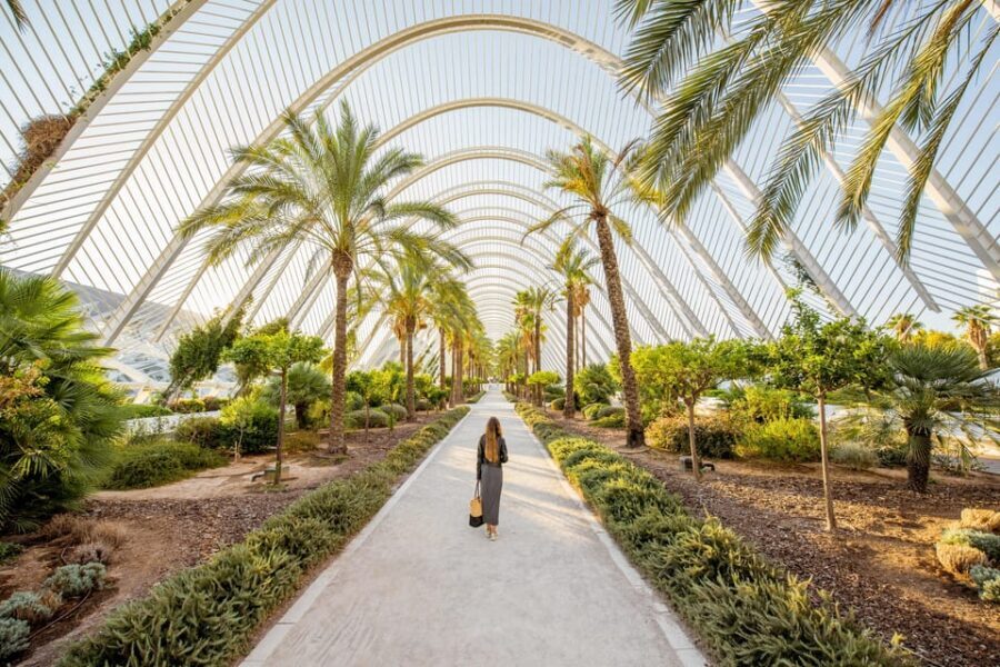 Valencia: Private Brunch Tour with Basic Spanish Learning - Should you book this Valencia brunch tour?