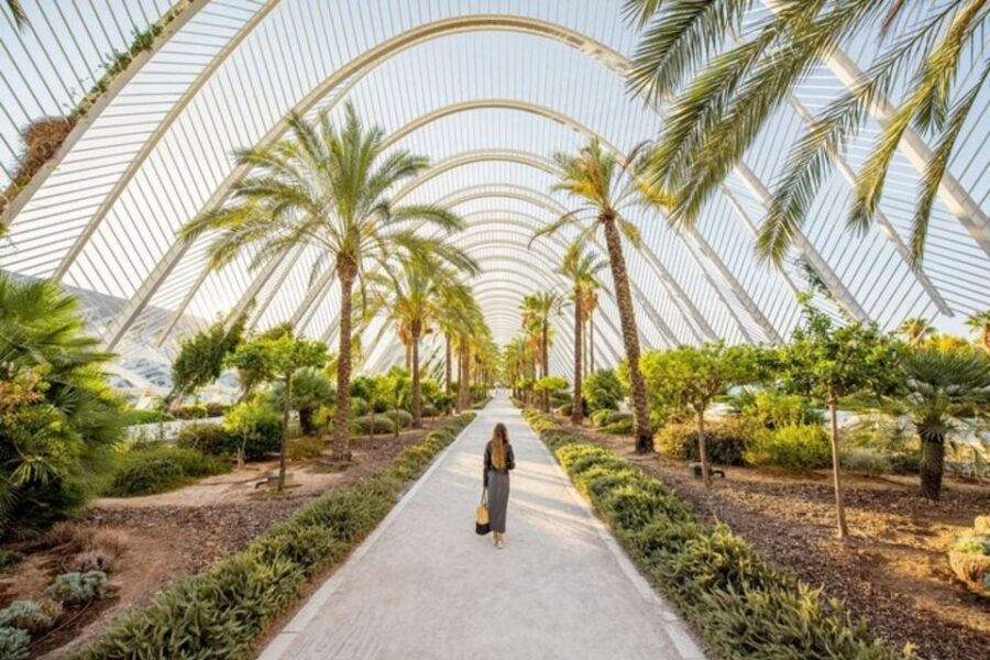 Valencia: Private custom tour with a local guide - Your Guide Experience: English-Friendly, Private, and Multi-Language