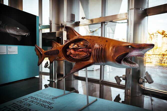 Valencia Private Family Tour - Stop 6: Horchatería de Santa Catalina for churros and a real break