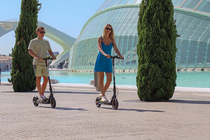 Valencia Private Half Day Bike Tour - Turia Gardens and the Palacio de la Música: the green reset