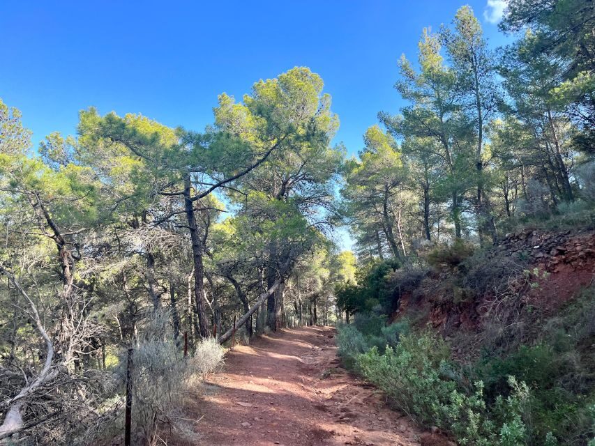 Valencia: Sierra Calderona & El Garbí Mountain hiking Tour - Key highlights at a glance