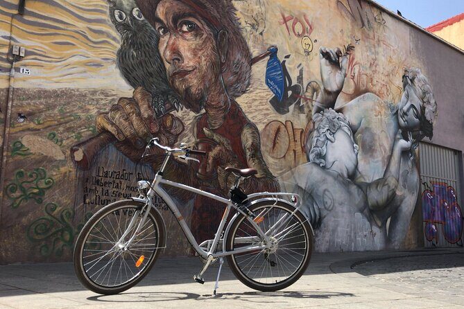 Valencia Street Art | Private Tour by Bike or Electric Ride - Why street art in Valencia is best seen from a bike