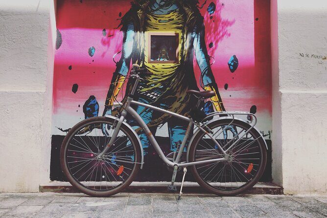 Valencia Street Art | Private Tour by Bike or Electric Ride - Private and flexible: how the pacing works for real people