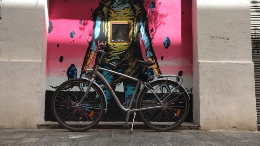 Valencia: Street Art Tour on Bicycle, E-Bike or E-Step - Key highlights you’ll actually care about