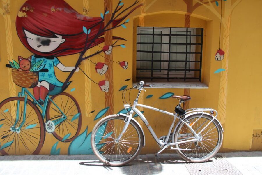 Valencia: Street Art Tour on Bicycle, E-Bike or E-Step - The Great Flood of 1957: How Valencia’s Murals Got Their Backstory