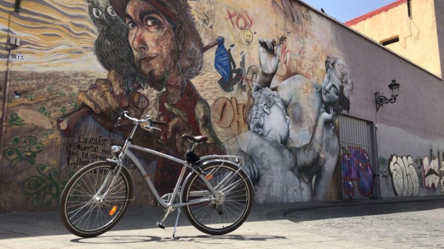 Valencia: Street Art Tour on Bicycle, E-Bike or E-Step - Starting at Pelican Bikes and Getting Ready for 2 Hours of Looking