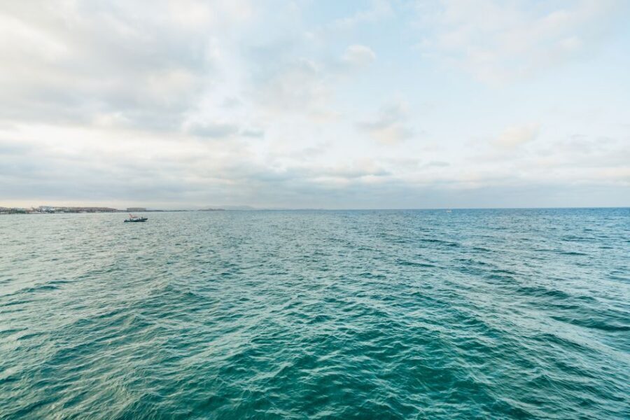 Valencia: Sunset or Daytime Catamaran Cruise with Drink - Music, DJ Days, and the Crowd Energy You’ll Actually Feel