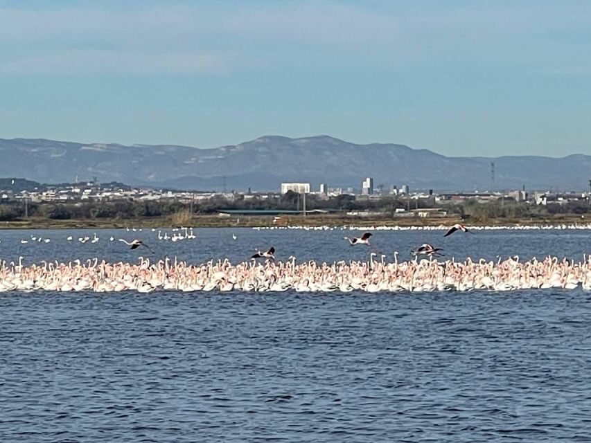 Valencia: The Albufera Lake Self-Guided E-Bike Tour - Key things to know before you ride