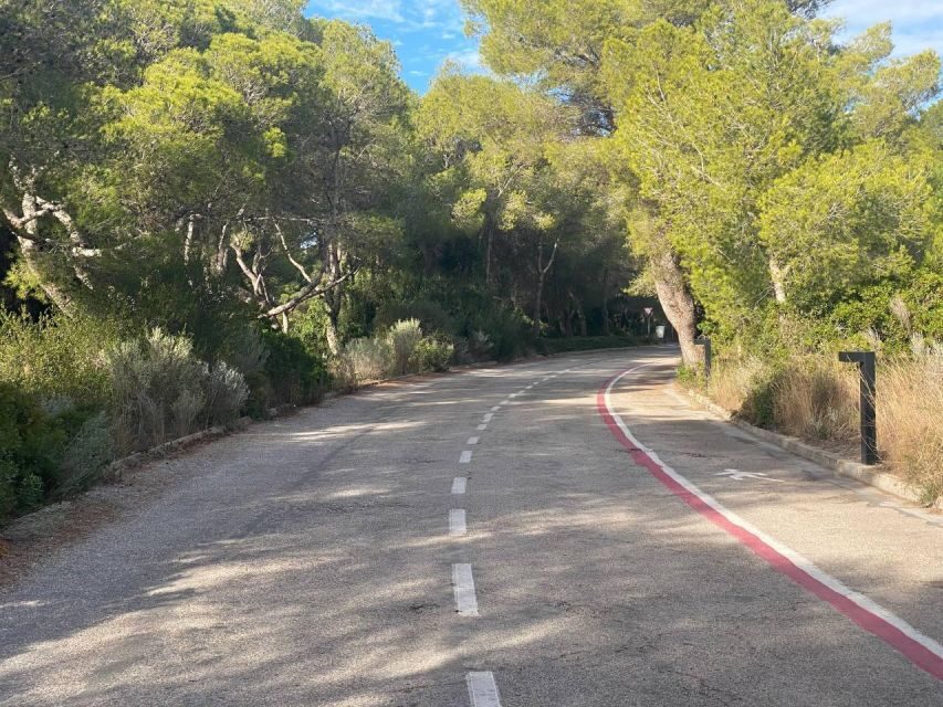 Valencia: The Albufera Lake Self-Guided E-Bike Tour - Why This Valencia E-Bike Route Works in One Day