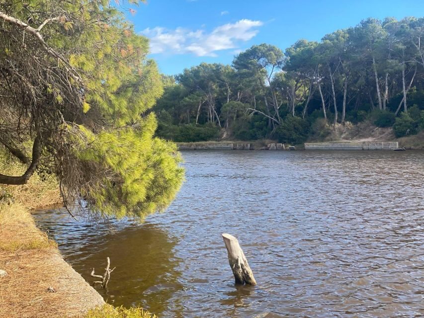 Valencia: The Albufera Lake Self-Guided E-Bike Tour - Reaching Albufera Lake: UNESCO Wetlands and Bird-Spotting