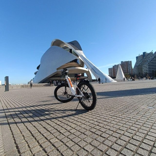Valencia: The Albufera Lake Self-Guided E-Bike Tour - Should You Book This Valencia–Albufera E-Bike Day?