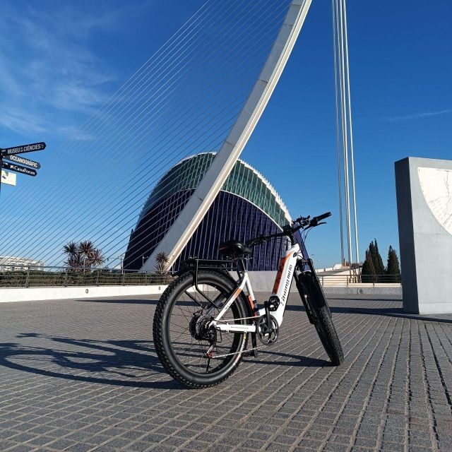Valencia: The Albufera Lake Self-Guided E-Bike Tour - Starting in Ruzafa: a Food-and-Stroll Neighborhood Jump-Off