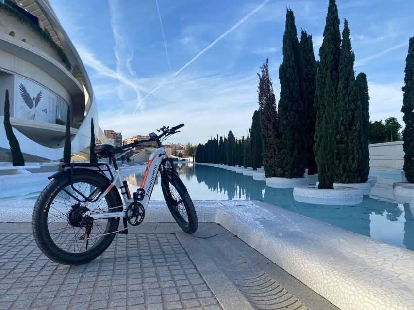 Valencia: Top 25 Highlights Guided Bike Tour - Russafa: street art, food stops, and a neighborhood you’ll want to revisit