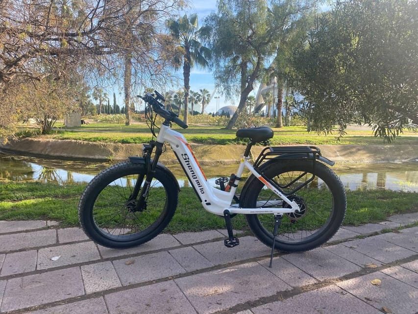 Valencia: Top 25 Highlights Guided Bike Tour - What the guide actually adds (Daria, Anara, Shakti, and others)