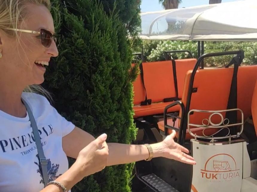 Valencia: Tuk Tuk City Tour - Comfort Notes: Rain, Microphone Issues, and Confirming Drop-Off