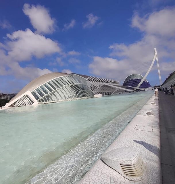 Valencia: Turia Park Guided Bike Tour - Into Parque de Cabecera: lakes, orange-tree shade, and local routines