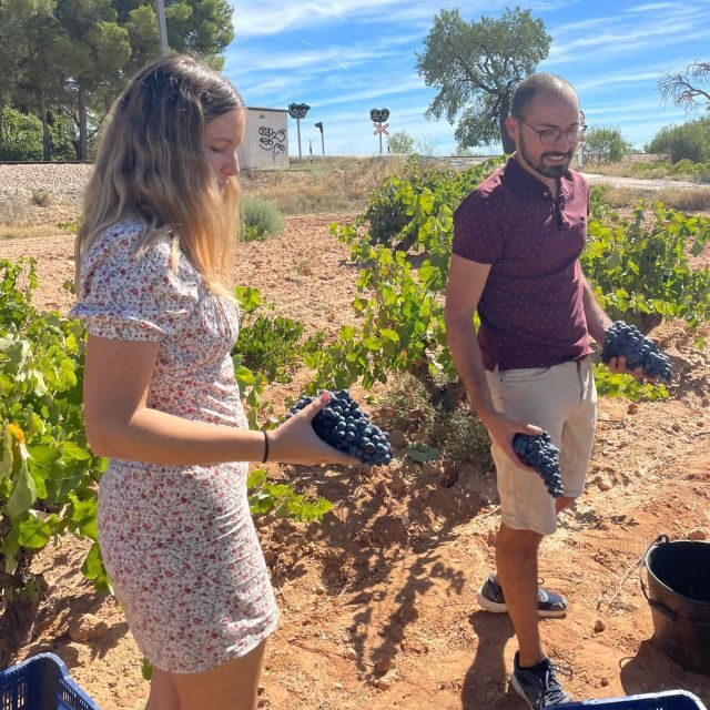 Valencia: Utiel-Requena Cave & Winery Day Trip with Tasting - Why Utiel-Requena Makes a Great Valencia Wine Day Trip