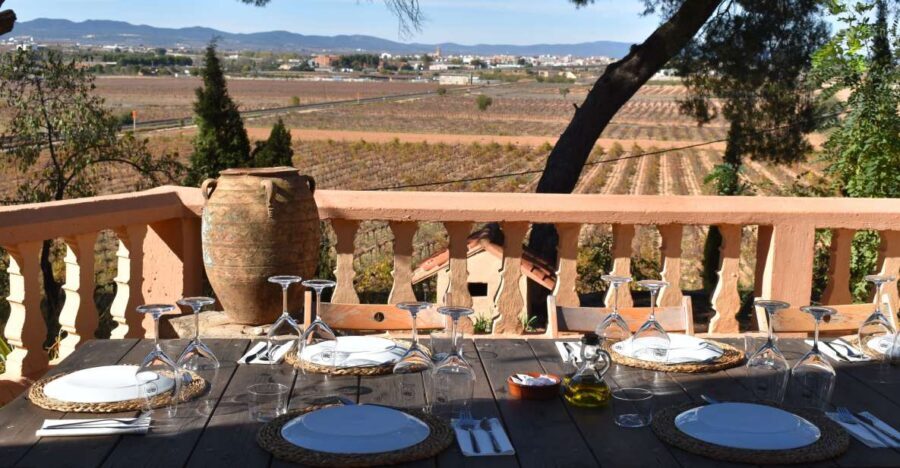 Valencia: Utiel-Requena Cave & Winery Day Trip with Tasting - Getting There From Valencia: Pickup Options and a Real Timing Plan