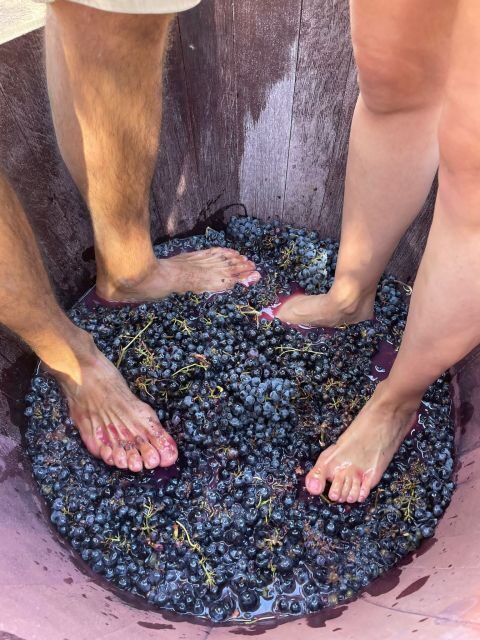 Valencia: Utiel-Requena Cave & Winery Day Trip with Tasting - Bobal, P.D.O. Utiel-Requena, and the Wine Lesson You’ll Actually Use