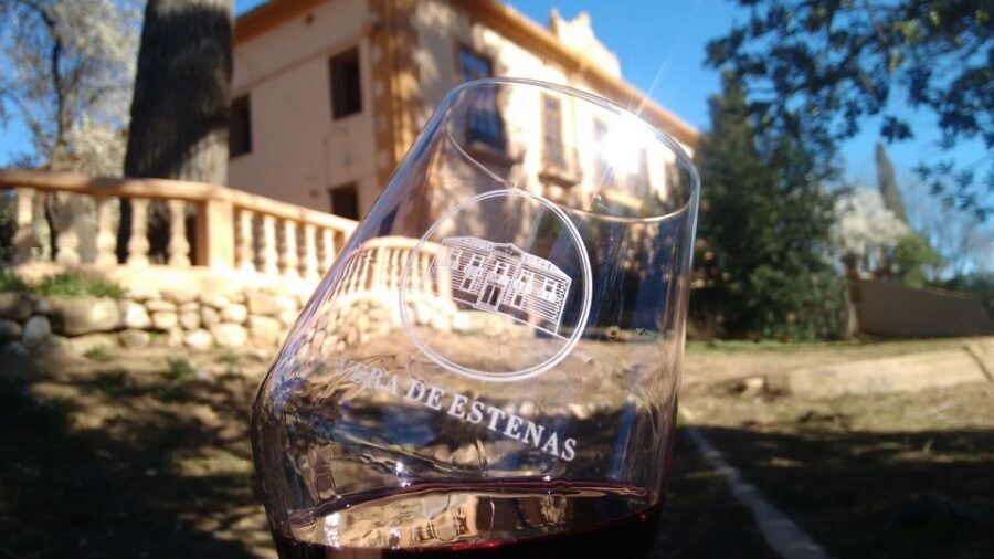 Valencia: Utiel-Requena Cave & Winery Day Trip with Tasting - Price and Value: Why $128 Can Feel Fair (Even If You’re Not a Wine Expert)