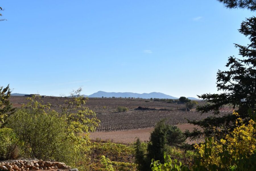 Valencia: Utiel-Requena Cave & Winery Day Trip with Tasting - Who Should Book This Tour (and Who Should Skip It)