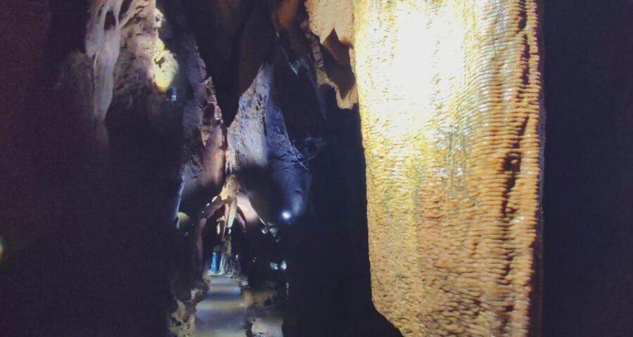 Valencia: Visit by boat to the Caves of Sant Josep - Who this cave boat tour suits best