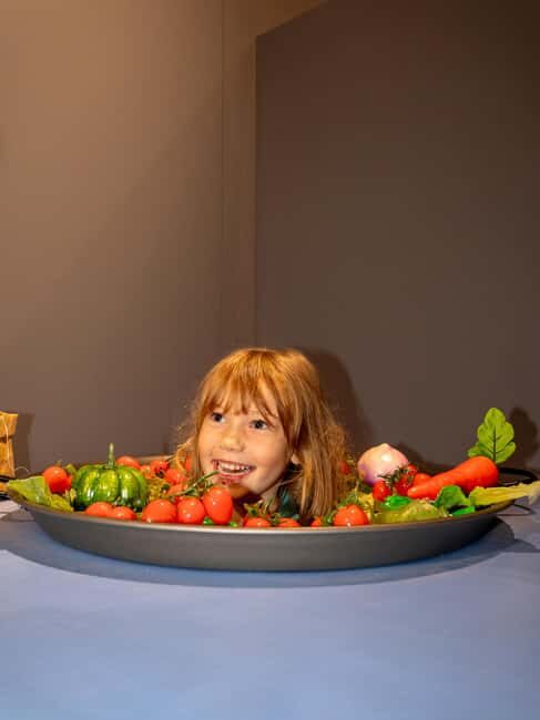 Valencia: World of Illusions Museum Entrance Ticket - Key things to know before you go