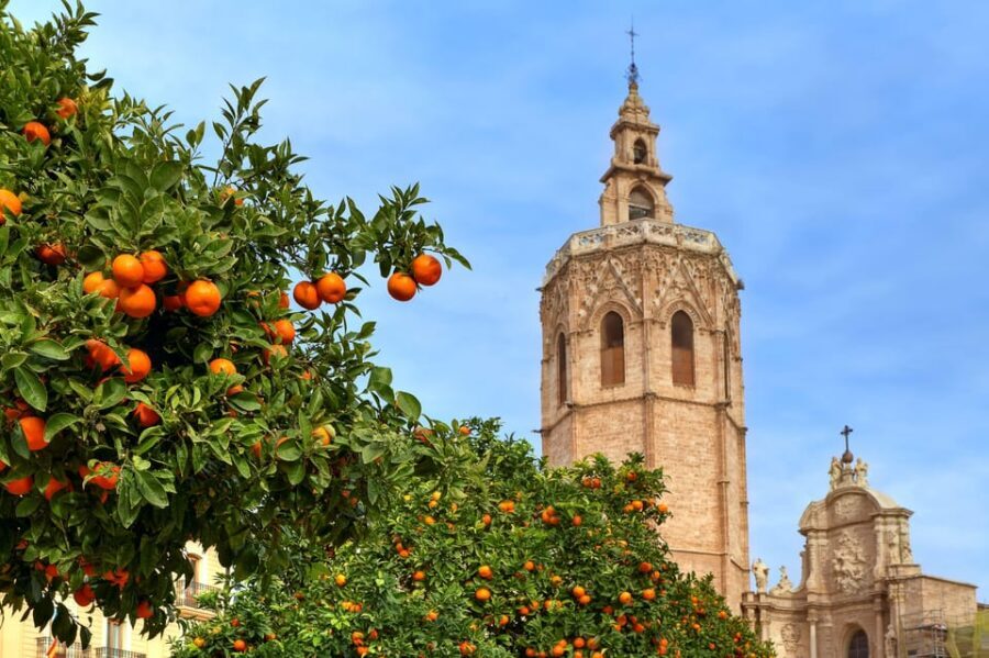 Walking Tour through Valencia's Historic Centre - Key points that make this walking tour worth it