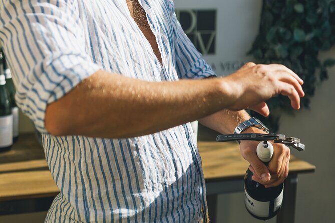 Wine Tasting Experience with a Professional Sommelier in Valencia City Center - What you taste: 5 artisanal Spanish wines and a guided comparison