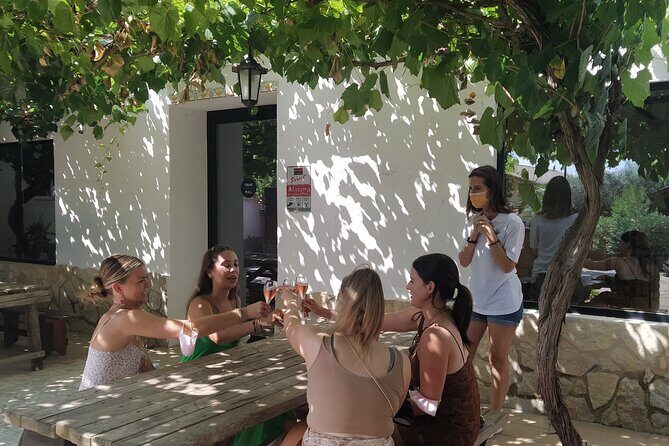Wine tasting tour - Leaving Valencia for Utiel-Requena: a wine day that stays relaxed