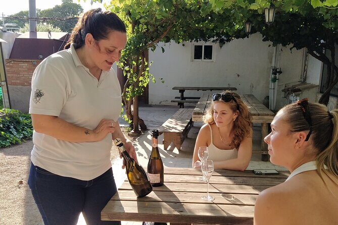 Wine tasting tour - Practical tips for a smooth Utiel-Requena tasting day